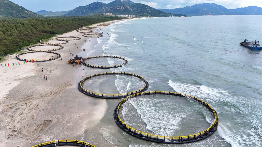 湛江湾重力式圆形深海网箱项目